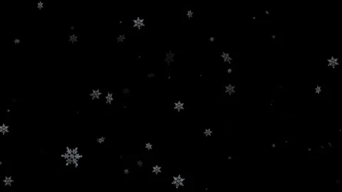 Falling snow flakes on black background Stock-Footage 262130673