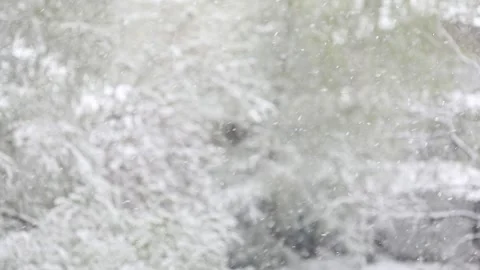 Falling Snow flakes, bokeh background. Stock Footage 291922983
