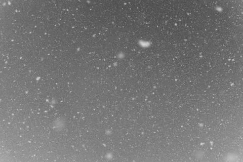 Falling snow flakes during the snowfall from the sky. Stock Photos