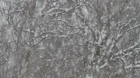 Falling snow flakes Stock Footage 58127194