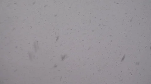 Falling snow flakes Stock Footage 83099105