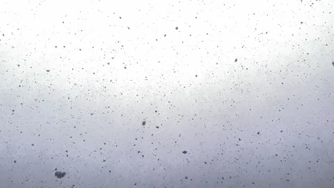 Falling snow flakes Stock Footage 164961698