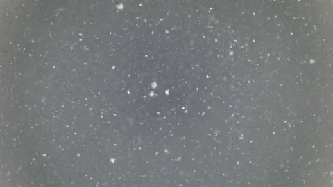 Falling snow flakes on grey sky Stock Footage 101827924