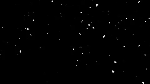 Falling snow flakes isolated on black background Stockbeeldmateriaal 344330569