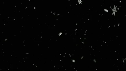 Falling snow flakes with night background Stock Footage 132025646