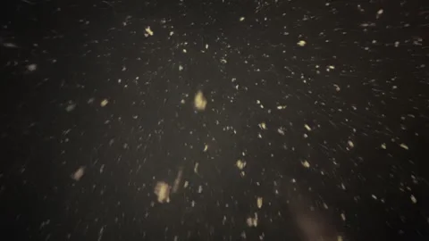 Falling snow flakes seen from below in slow motion, loop Stock Footage 297710432
