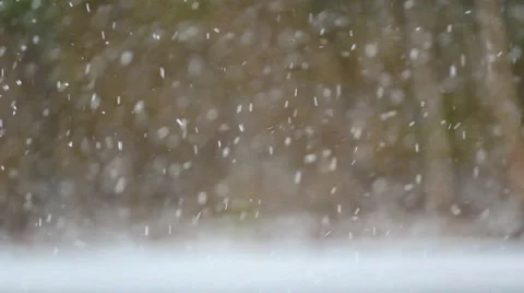 Falling Snow Stock Footage 1000469