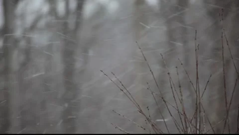 Falling snow Stock-Footage 8554903