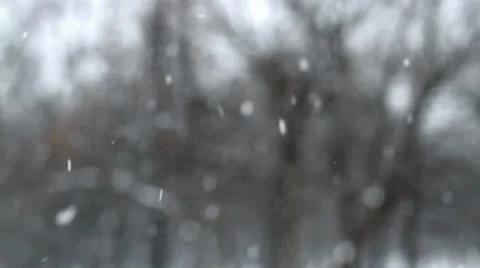 Falling Snow Stock Footage 10825140