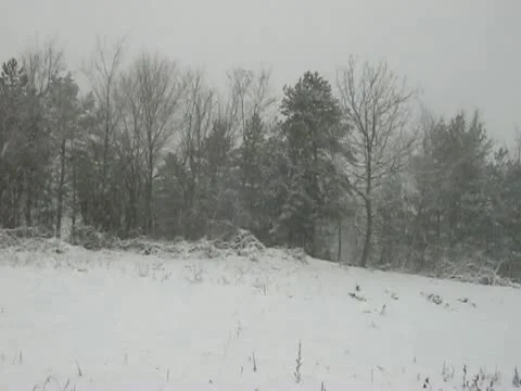 Falling snow Stock Footage 12743998
