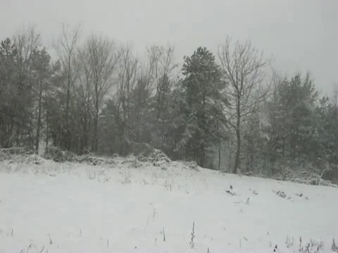 Falling snow Stock Footage 12744008