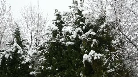 Falling snow Stock Footage 22247055