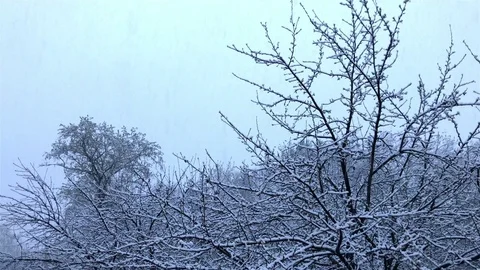 Falling snow 動画素材 75655890