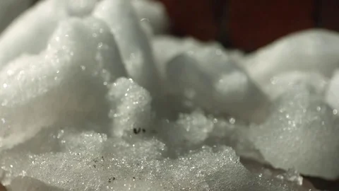 Falling Snow Stock Footage 81882512