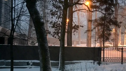 Falling Snow Stock Footage 83732769