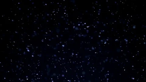 Falling snow. Stock Footage 100761438