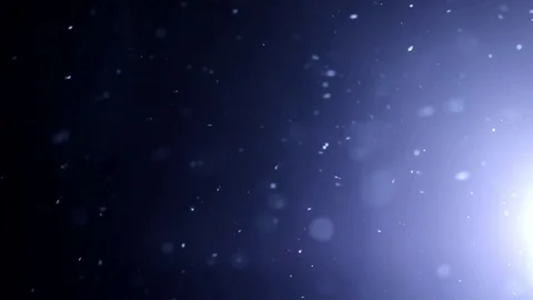 Falling snow. Stock Footage 100761462
