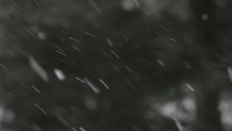Falling snow 動画素材 102870599