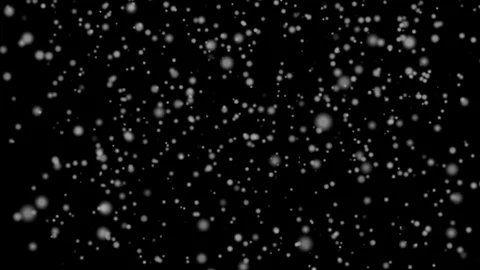 Falling snow. Stock Footage 120174874