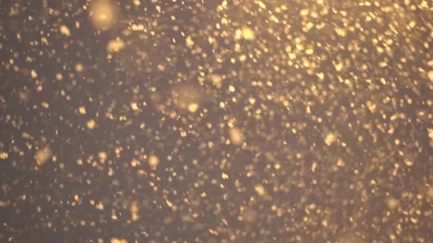 Falling Snow Stock Footage 198709888