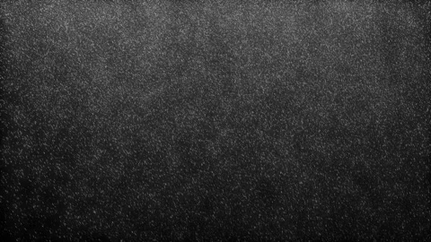 Falling Snow. Stock Footage 320006874