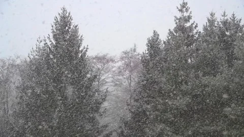 Falling snow. Stock Footage 340552904