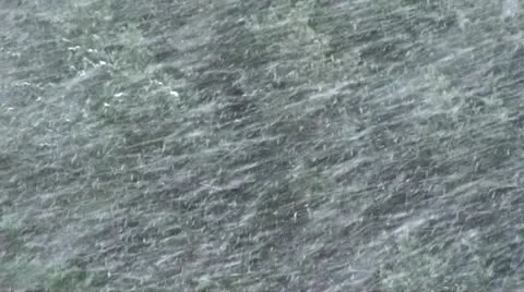 Falling snow in forest Video stock 22132664