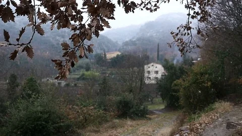 Falling snow in a forest Stock Footage 73927283