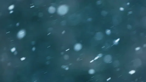 Falling snow in the forest Video stock 148397306