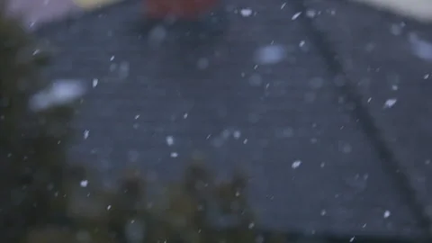 Falling snow in the forest Stock Footage 224849624