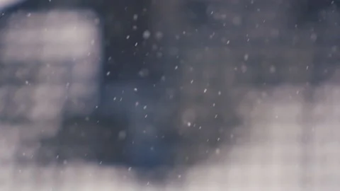 Falling snow in the forest Stock Footage 224851409