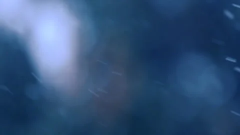 Falling snow in the forest Stock Footage 231670140