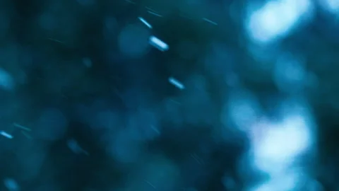 Falling snow in the forest Stock Footage 231679766