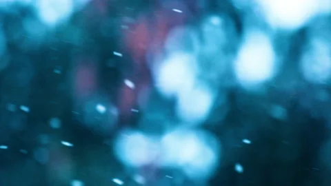 Falling snow in the forest Video stock 231684813