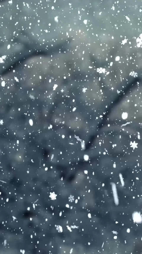 Falling Snow in Frozen Winter Forest, Peaceful Nature Scene Stock Footage 326577849