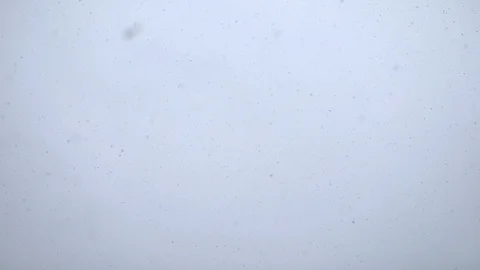 Falling snow gently falls and swirls on a winter day Stock Footage 124261330