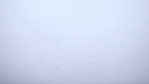 Falling snow gently falls and swirls on a winter day. Stock Footage 124262017