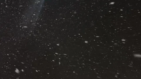 Falling snow. Heavy snowfall video. Winter fairy tale atmosphere. Real snow Stock-Footage 262534678