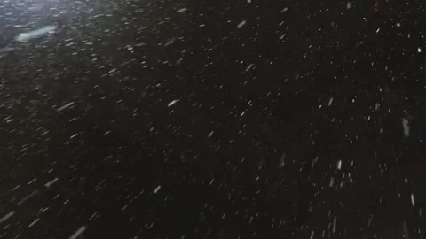 Falling snow. Heavy snowfall video. Winter fairy tale atmosphere. Real snow Stock-Footage 262534687