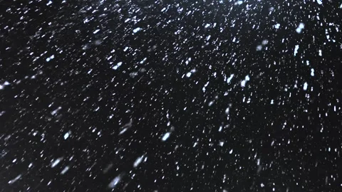 Falling snow. Heavy snowfall video. Winter fairy tale atmosphere. Real snow Stock Footage 263148780