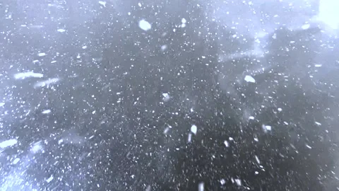 Falling snow. Heavy snowfall video. Winter fairy tale atmosphere. Real snow Stock Footage 266340505