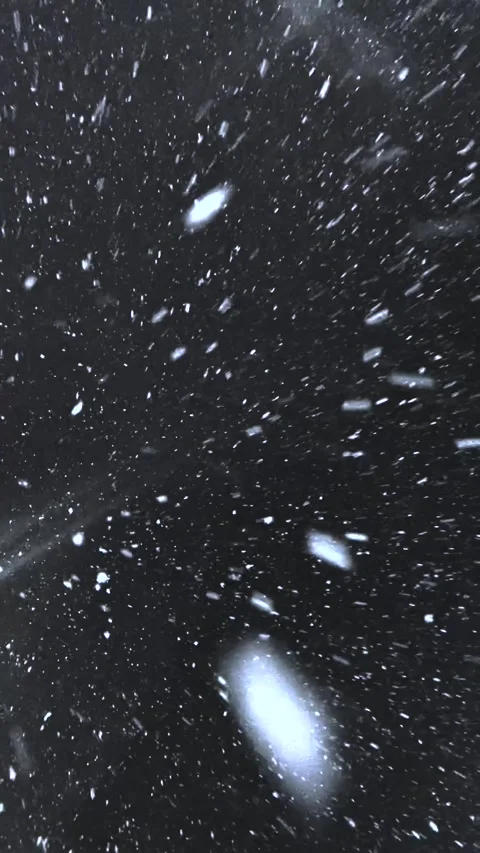 Falling snow. Heavy snowfall video. Winter fairy tale atmosphere. Real snow Stock Footage 266340538