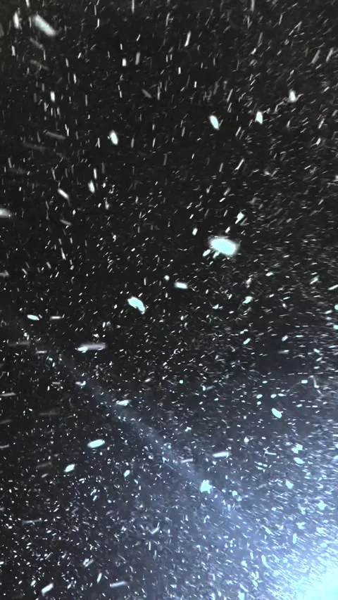 Falling snow. Heavy snowfall video. Winter fairy tale atmosphere. Real snow Stock Footage 266340546
