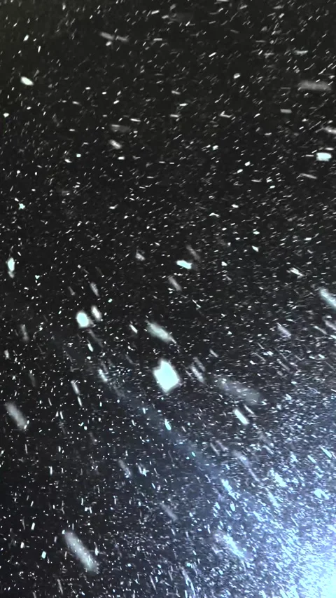 Falling snow. Heavy snowfall video. Winter fairy tale atmosphere. Real snow Stock Footage 266340566