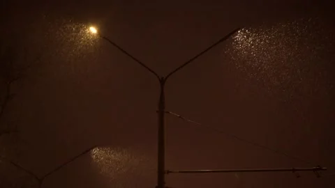 Falling snow illuminated by warm srteet lights in the night Stock Footage 143528023