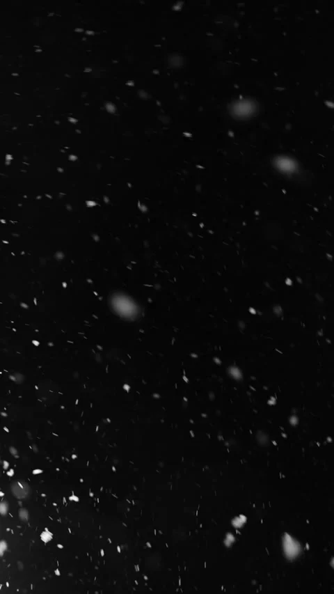 Falling snow isolated on black background. Winter, slowly falling snow effect. Stock Footage 272589661