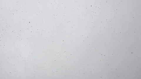 Falling Snow Isolated on White Background in 4K. Large and Small Snowflakes Stock Footage 127137004