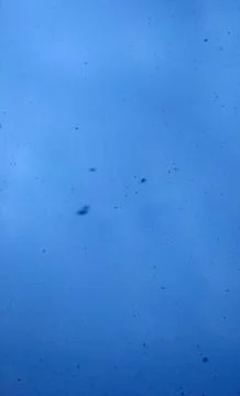 Falling Snow is Large Foto stock