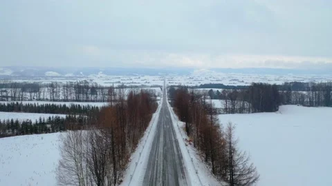 Falling snow on a long panorama road Stock Footage 155918325