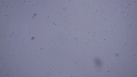Falling snow looking up Stock Footage 87298688